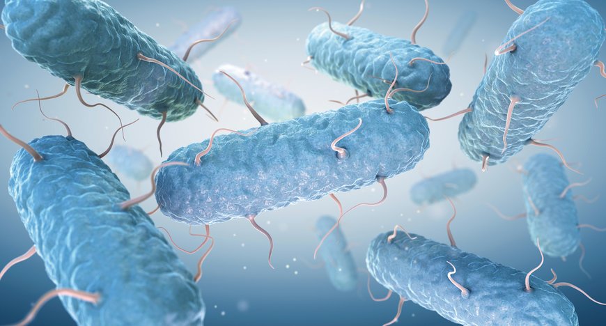 Gamme SAN – Antimicrobial  de ELESA : des composants auto-assainissants contre les bactéries et les champignons. 